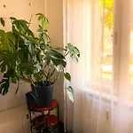 Free Parking - Premium Bed - Modern Kitchen Апартаменти