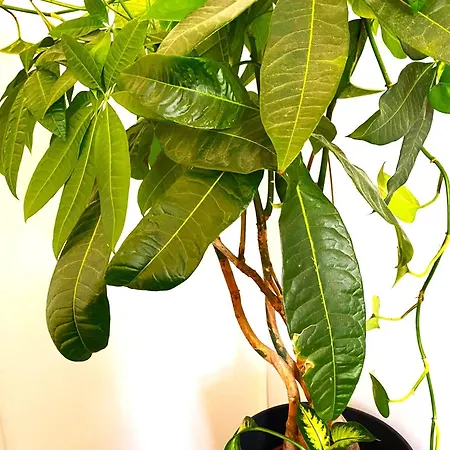 Appartement Free Parking - Premium Bed - Modern Kitchen *