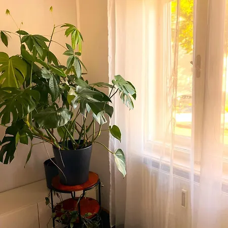 Free Parking - Premium Bed - Modern Kitchen Lejlighed