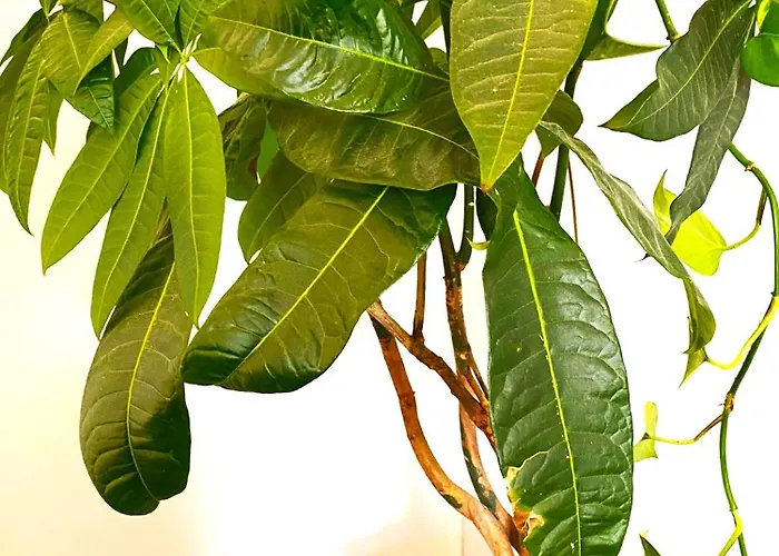 Lejlighed Free Parking - Premium Bed - Modern Kitchen *