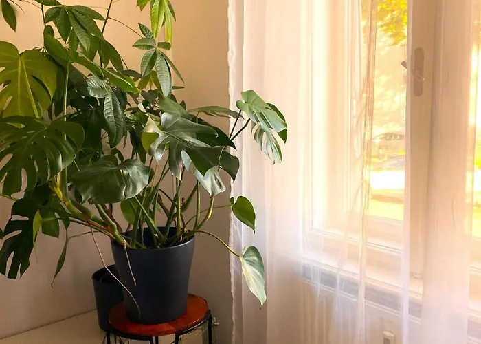 Free Parking - Premium Bed - Modern Kitchen Appartement