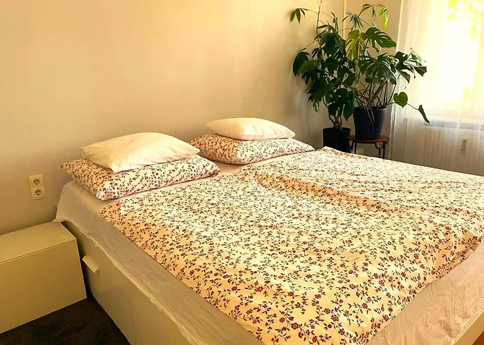 Free Parking - Premium Bed - Modern Kitchen Lejlighed